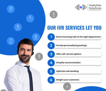 Ivr services