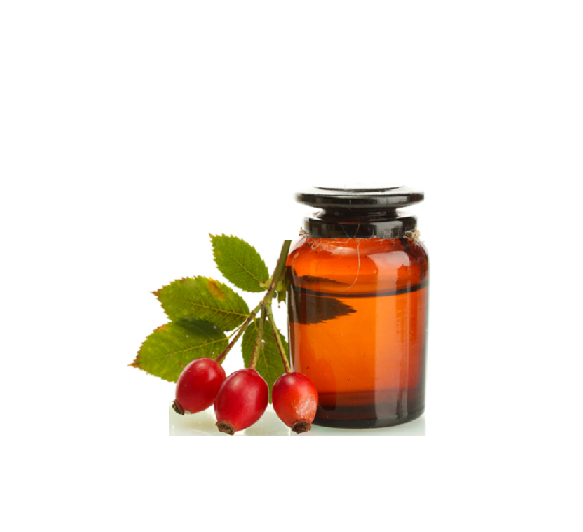 Rosehip Oil, Purity 100 Pure Natural at Best Price in Delhi SHRI