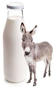 Fresh donkey milk, for Medicine Use, Packaging Type : Pet