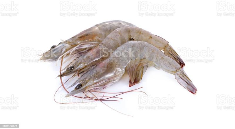 Vannamei prawns, Style : Fresh