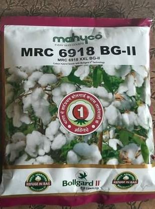 Organic Sukun-21 Hybrid Cotton Seeds, Packaging Type : Plastic Pouch