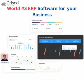 ERP Customization Service