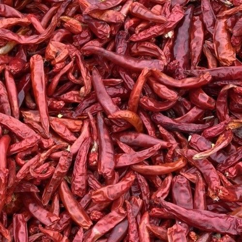 dry red chilli