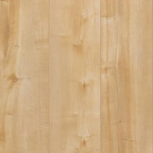 Golden Rectangular Maple Wood, Length : 8-12 Feet