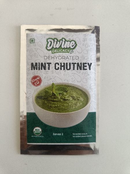 Ready to Eat  Mint Chutney