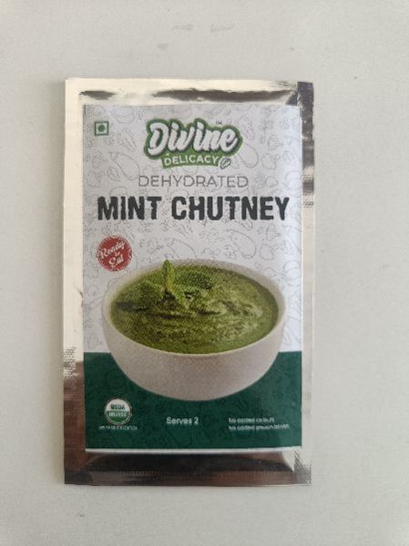 Ready To Eat  Mint Chutney