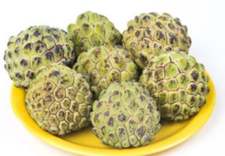 Green Organic Fresh Custard Apple For Human Consumption Packaging Type Plastic Box At Rs 40 