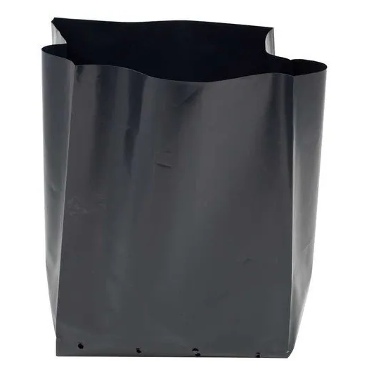 Kunal Plastics Black LDPE Nursery Poly Bag, Pattern Plain at Rs 135