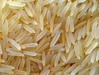 BASMATI RICE - 1401 GOLDEN SELLA