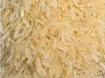 SUGANDHA LONG GRAIN GOLDEN SELLA / PARBOILED RICE