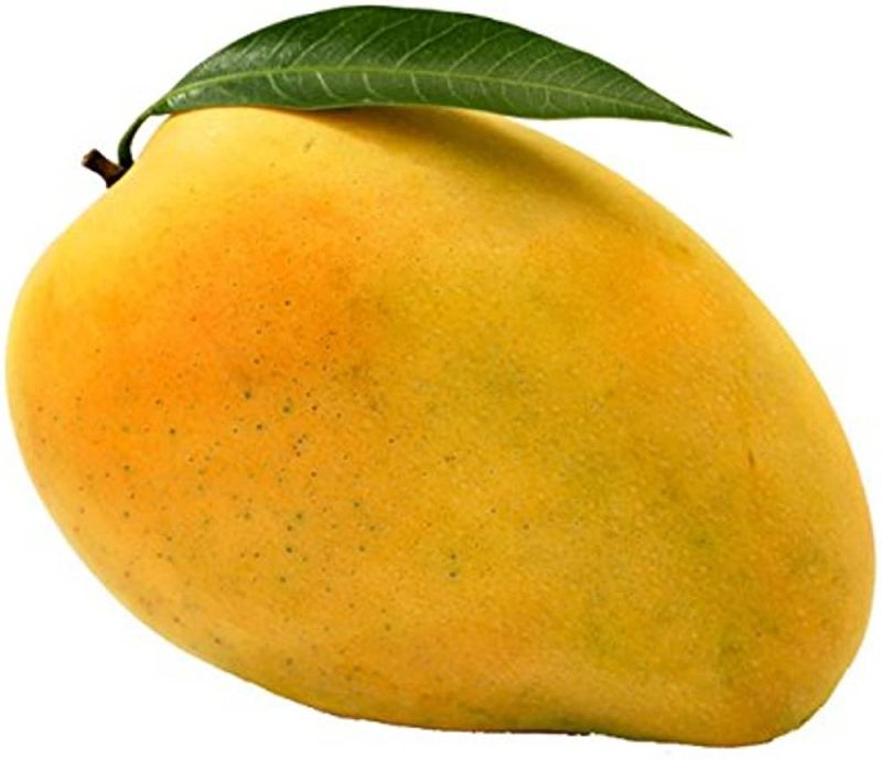 Organic mango, Certification : FSSAI Certified