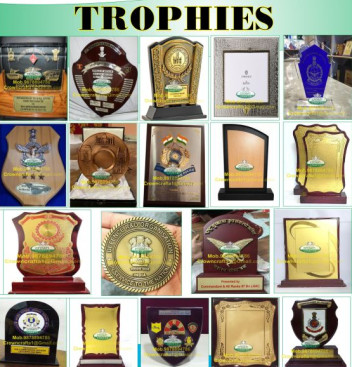 Indian Air Force Brass Trophy, Certification : Iso Msme