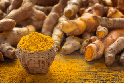 Rajapore Turmeric