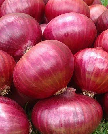 Pink Fresh White Onion, Packaging Type : Gunny Bags