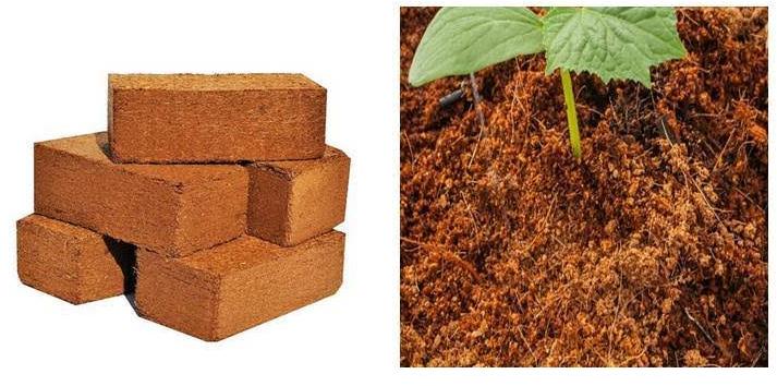 cocopeat brick &amp;amp; Powder