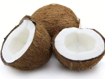 semi husked coconut