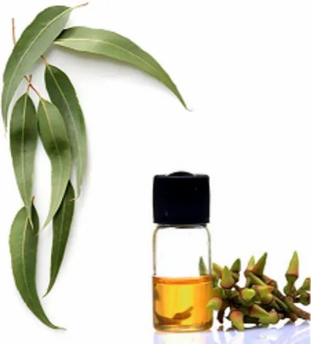 Pale Yellow Eucalyptus Oil, for Stomach Issue, Infections, Feature : Purity
