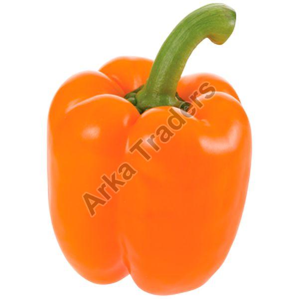 Fresh Orange Capsicum, for Cooking, Style : Natural