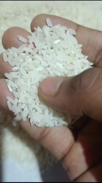 Hard Common arwa rice, Color : Natural White