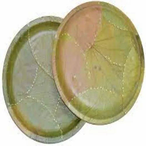 Plain Leaf Plate, Size : All Sizes