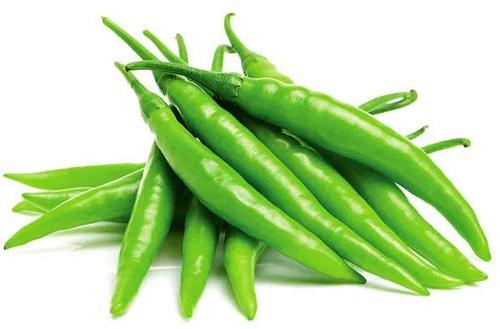 Organic Fresh Green Chilli, for Human Consumption, Cooking, Certification : FSSAI Certified