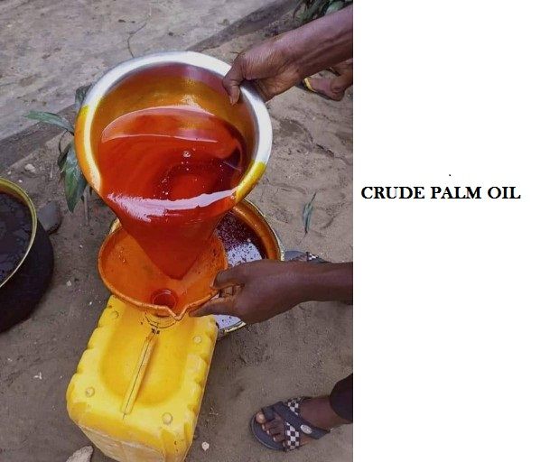 palm oil