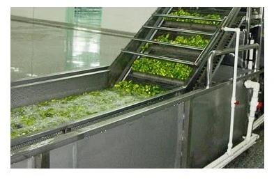 Vegetable Processing Plant, Automatic Grade : Automatic