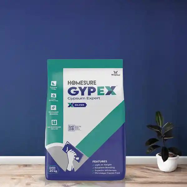 Homesure Gypex Gypsum Silver Plaster