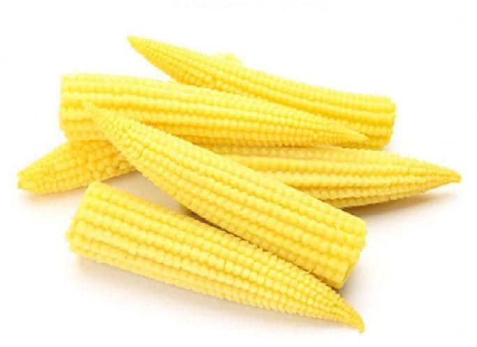 Baby Corn Seeds