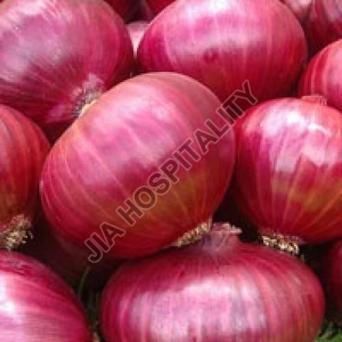 Fresh Red Onion, for Cooking, Style : Natural