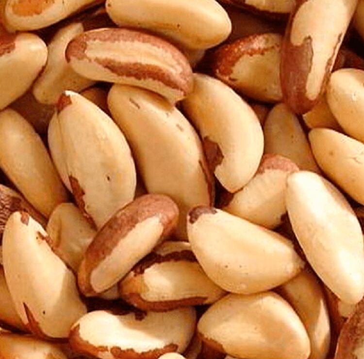 Brazil Nut