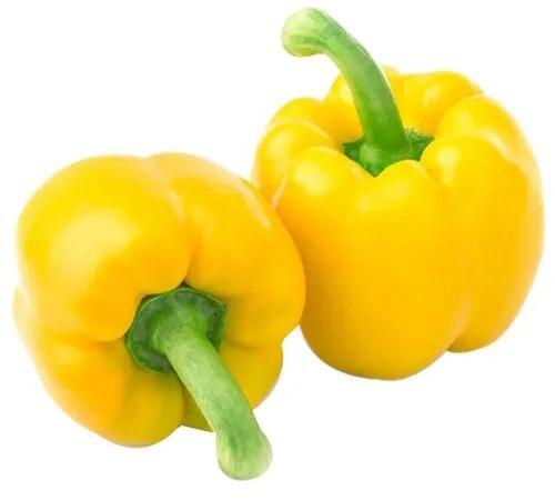 Natural Yellow Capsicum, for Human Consumption, Packaging Size : 50-100 Kg