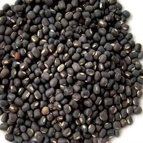 Whole Black Urad, Packaging Type : Loose