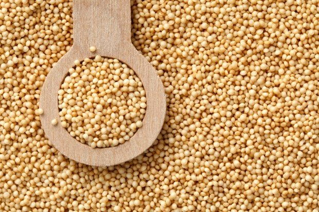 Common Organic Amaranth Millet, for Cooking, Cattle Feed, Style : Dried