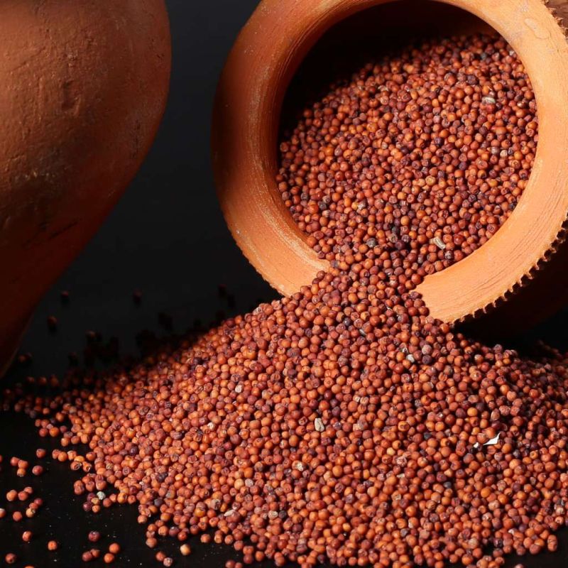 Red Seeds Finger Millet, for Snacks Use, Cooking, Grade : Food Grade