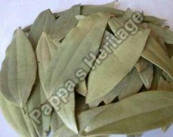 Dried Bay Leaf, for Food Medicine