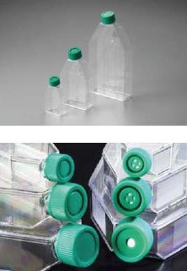 Transparent Plastic Plain Cell Culture Flask, for Laboratory