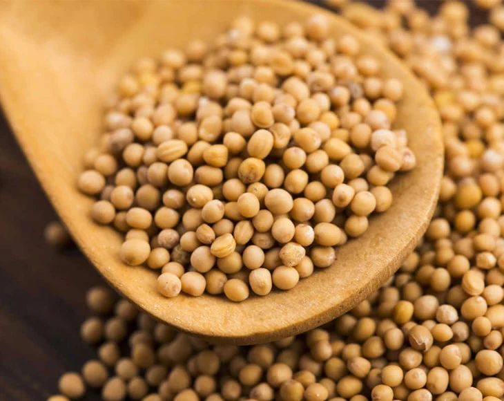 Organic Yellow Mustard Seed, for Making Oil, Grade Standard : Food Grade
