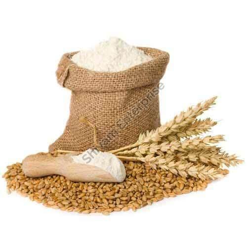 White Organic Wheat Atta, for Cooking, Certification : FSSAI