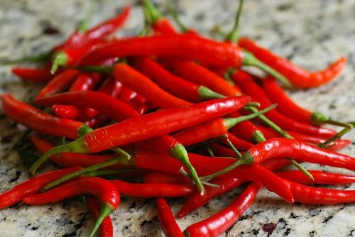 Organic Fresh Red Chili, for Food, Taste : Spicy