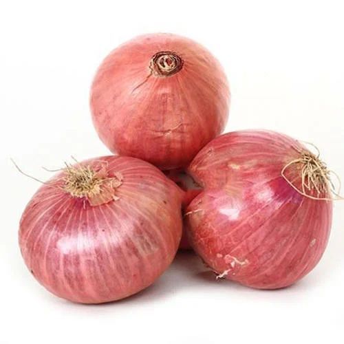 Medium Fresh Onion, for Human Consumption, Feature : Hygienically Packed