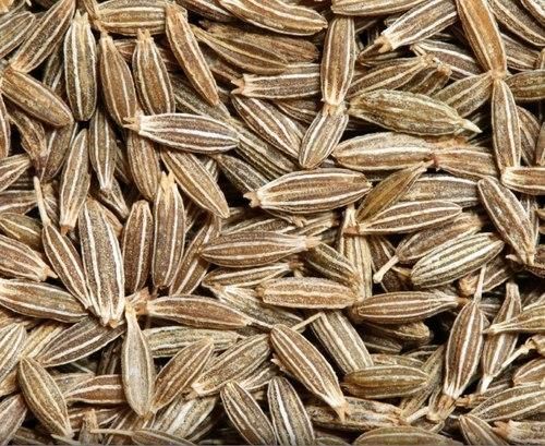 Raw Common cumin seeds, Grade Standard : Food Grade