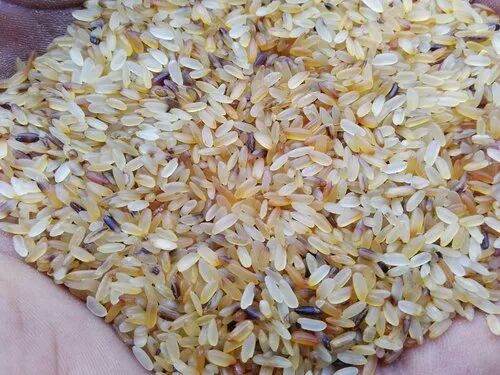 Hard Natural rejection rice, for Human Consumption, Packaging Type : Plastic Bags, Jute Bags