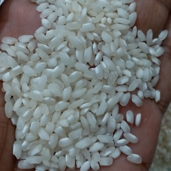 Organic Idli Rice, for Human Consumption, Certification : FSSAI Certified