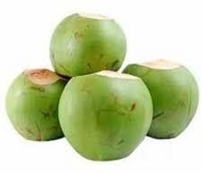 Natural raw coconut, Coconut Size : Medium