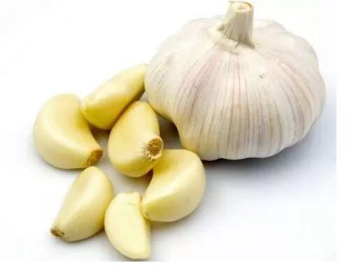 Fresh garlic