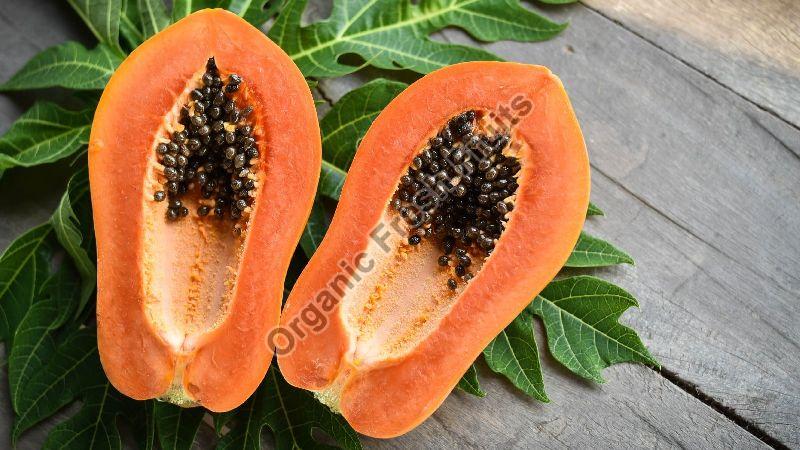 Organic fresh papaya, Shelf Life : 1week