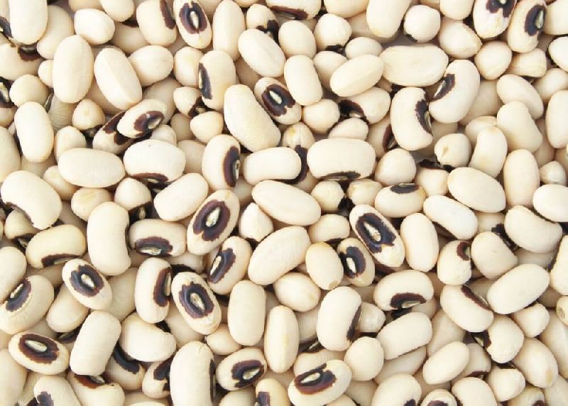 Vedha Natural Black Eyed Beans, for Cooking, Certification : FSSAI Certified