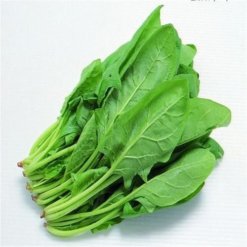 Vedha Natural Fresh Spinach Leaves, for Cooking, Color : Green