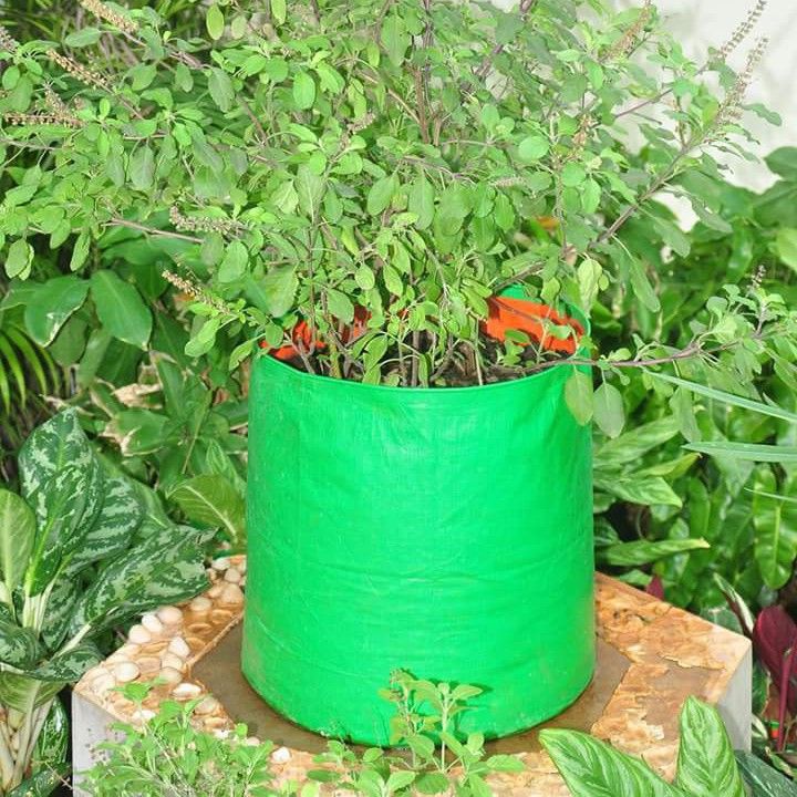 Green Round Plastic Vegetable Grow Bags, for Plant Growing